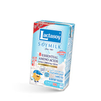 Lactasoy Soy Milk 300ml