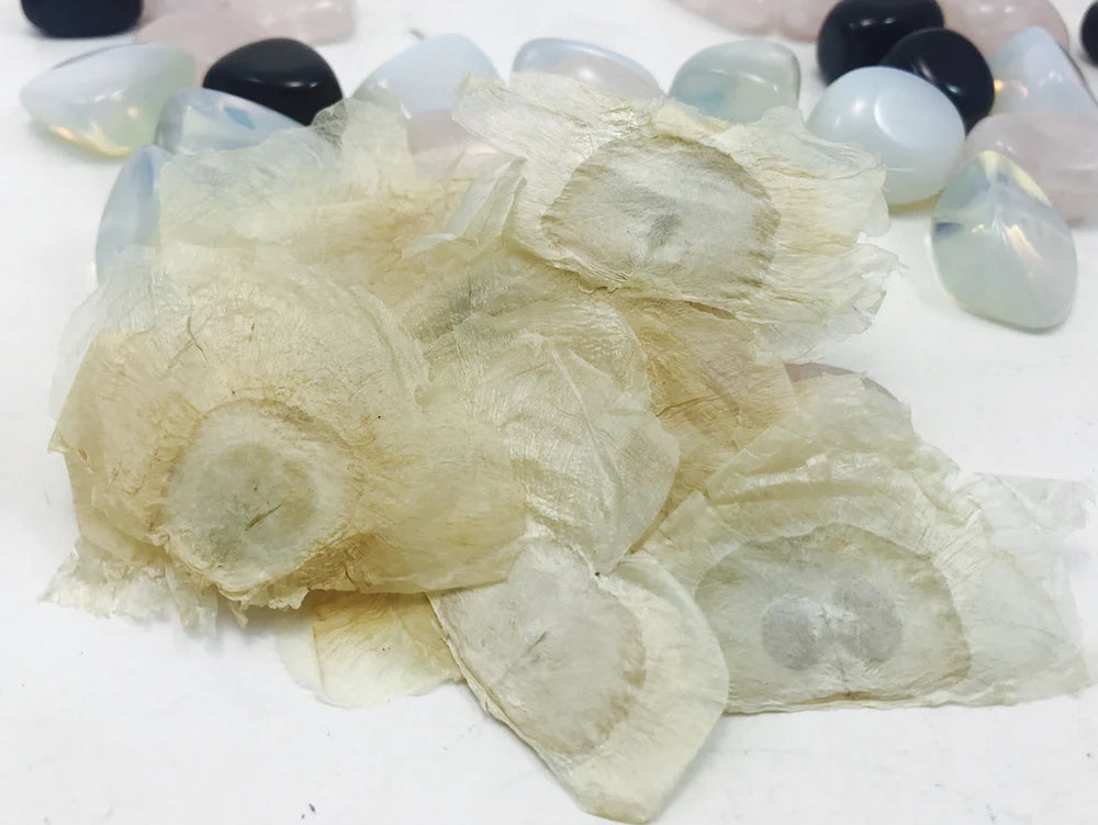 Artificial Flower (Tsampakha)