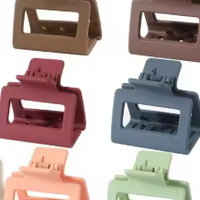 Fashion Pitcharat Hair Clip Medium (PCS)